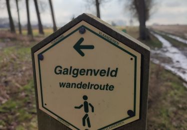 Randonnée Marche Ninove - Galgenveld - Photo