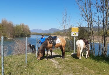 Percorso Equitazione Aoste - st didier st genix champagneux breigner  - Photo