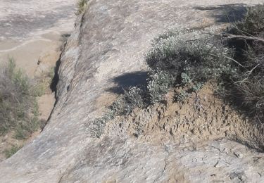 Trail Walking Malijai - MALIJAI Par les sentiers  - Photo