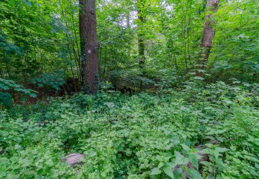 Tour Zu Fuß Moers - Lauersfort Rundweg A1 - Photo