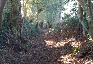 Randonnée Marche Le Faou - LE FAOU / RUMENGOL / HANVEC - Photo