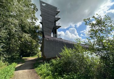 Percorso Marcia Zonhoven - Wijvenheijde Zonhoven 14,3 km - Photo
