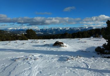 Tour Schneeschuhwandern La Llagonne - raquette jour 3 - Photo