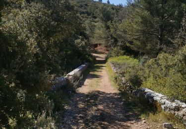 Percorso Mountainbike Vitrolles - Plateau 50km - Photo
