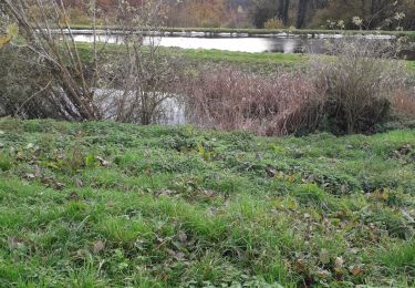 Tour Wandern Saint-Ouen-de-Thouberville - Saint-Ouen de Thouberville.  Vers la pierre Tourmante et le Mesnil version 12-11-21 - Photo