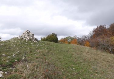 Tocht Stappen Saou - Petit et Grand Pomerolle - Saoû - Photo