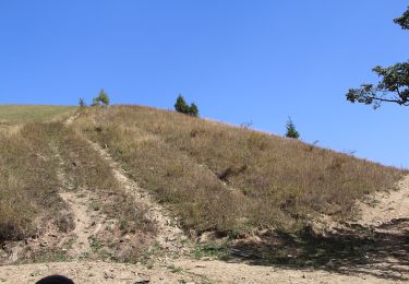 Randonnée A pied  - Slătioara – Hotel Rarău (red triangle) - Photo