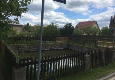 Tour Zu Fuß Rosenbach - OL-Grüner Strich - Zoblitz-Jonsdorf - Photo