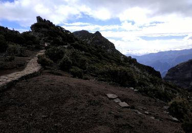 Trail On foot Ilha - 2025-03-30 Pico Ruivo - Photo