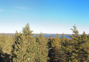 Randonnée A pied Äänekoski - Laulava Mörön Polku - Photo