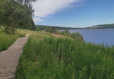 Tour Wandern Monts-de-Randon - Lac charpal  - Photo