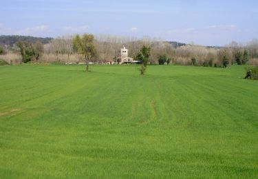 Trail On foot Sant Gregori - Les fonts naturals de Sant Gregori - Photo