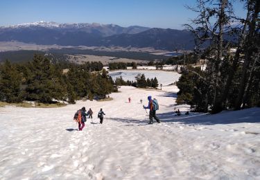 Trail Walking Les Angles - Llaret - Photo