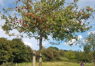 Tocht Stappen Vaals - Camerig - Holset - Cottessen - Photo