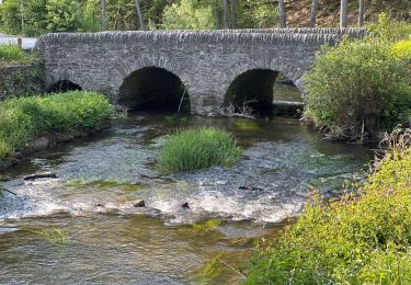 Randonnée Marche Daverdisse - Gembres 27,2 km - Photo