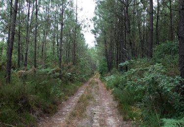 Randonnée V.T.T. Rion-des-Landes - 8999080-Vtt Piste_12-AOU-18  - Photo