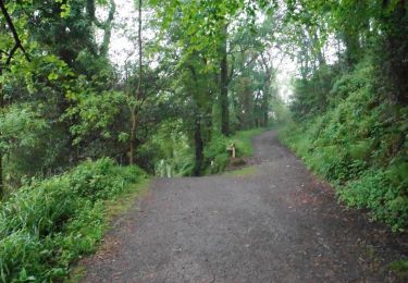 Tocht Te voet North Devon - Heddon Valley to Woody Bay Walk - Photo