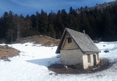 Tour Schneeschuhwandern Corrençon-en-Vercors - Cabane à Goupette en circuit - Photo