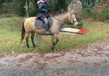 Trail Horseback riding Badonviller - Yoigo uccello chapelotte poilus  - Photo