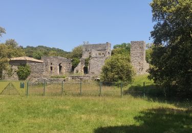 Tocht Stappen Lauret - Tour du Pic Saint Loup -  Et. 2 - Lauret - Saint Bauzille de Putois  - Photo