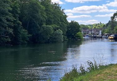 Tocht Stappen Samois-sur-Seine - T- Samois - Photo