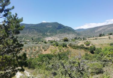 Tour Wandern Rémuzat - GRP Baronnies Rémuzat Villeperdrix 14km  - Photo