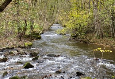Tour Wandern Laguiole - Lagarrigues Soulages Bonneval  - Photo