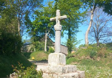 Trail Walking Sotteville-sur-Mer - sotteville sur mer pour le club - Photo