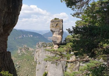 Tour Wandern Saint-Pierre-des-Tripiers - Jonte Corniches du Mejean - Photo