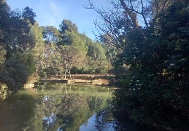 Randonnée Marche Marseille - Pastre - Marseilleveyre 11.2.23  - Photo