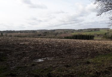 Tour Wandern Havelange - Promenade du Chêne au Gibet - variante de 11km - Photo
