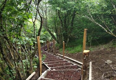 Trail Walking Saint-Ours - Puy de Jumes puy de la Coquille - Photo