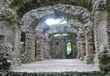 Excursión A pie Hollfeld - Von Burg zu Burg - Photo