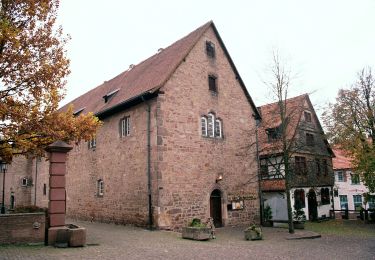 Tocht Te voet Steinau an der Straße - Steinau a.d. Straße - Wartenweg 1 - Photo