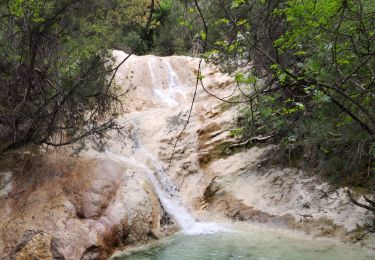 Trail Walking Vallon-Pont-d'Arc - cascade PISSEVIEILLE - Photo