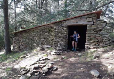 Randonnée Marche Bormes-les-Mimosas - Chartreuse de Vernes - Photo