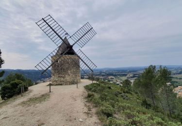 Randonnée Marche Tarascon - PF-Tarascon - Saint-Michel-de-Frigolet - Moulin Bonnet - Boulbon - XA - 21.03.2022;  21 03 2022 - Photo