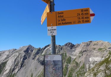 Trail Nordic walking Arbaz - 27.07.20 Pas de Maimbré  - Photo