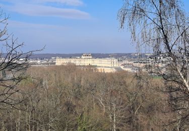 Tour Wandern Versailles - Versailles à St Cyr - Photo