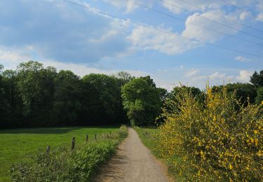 Trail Walking Neupré - A la découverte de la Roche aux Faucons 🥾 - Photo