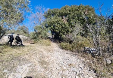 Percorso Mountainbike Saint-Georges-d'Orques - Une belle boucle autour de Saint-Georges-d'Orques - 35955 - UtagawaVTT.com - Photo