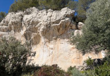 Trail Walking Sanary-sur-Mer - Le Gros Cerveau par la Roche Crurade - Photo