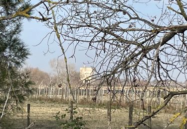 Randonnée Marche Aigues-Mortes - Aigues Mortes la tour Carbonnière - Photo