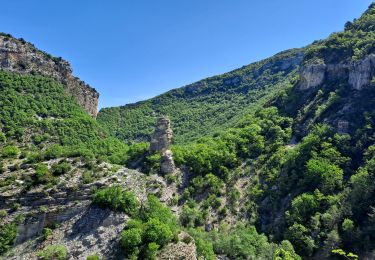 Excursión Senderismo Val-Buëch-Méouge - Gorges de la Méouge - Photo