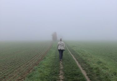 Randonnée Marche Feucherolles - Feucherolles  - Photo