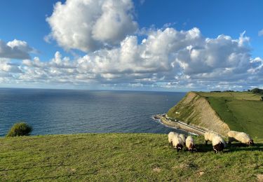 Tocht Stappen Getaria - Zumaia - Photo