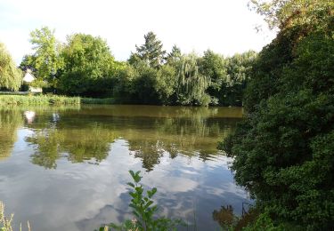 Percorso A piedi Nort-sur-Erdre - Les Marais de Blanche Noë - Photo