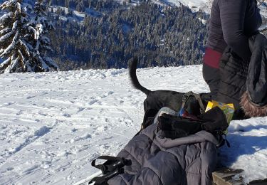 Trail Touring skiing Combloux - Combloux Le Perthuis par la piste