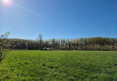 Randonnée Marche Cobrieux - En Pévèle - Photo