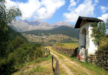 Tocht Te voet Rabbi - Sentiero di Passo Cercen - Photo